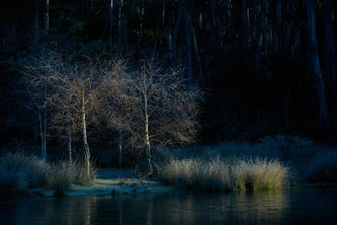 Naivasha Cottage - Lismore Accommodation 3