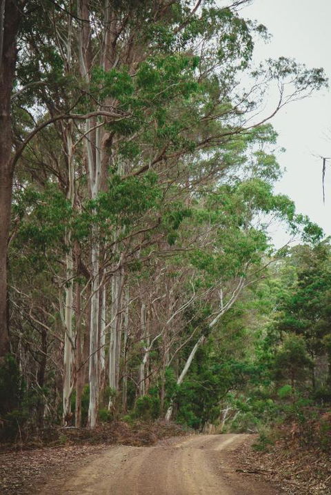 Naivasha Cottage - Lismore Accommodation 2