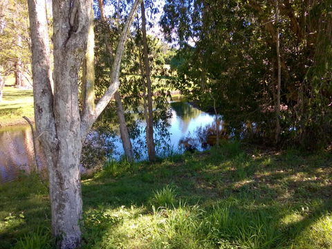 Eumundi Cottages Cottage 1 - Lismore Accommodation 4