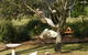 Vicarage View Cottage - thumb 5