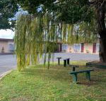 Great Western Motel - Lismore Accommodation