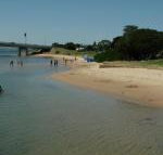 Black Dolphin Waterfront Apartment - Lismore Accommodation