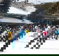 Discobulous 6 - Lismore Accommodation