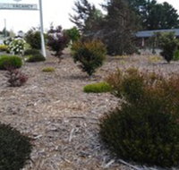 Altona Motel - Lismore Accommodation