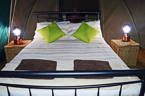 Nulla Nulla Farm Retreat - Lismore Accommodation 7