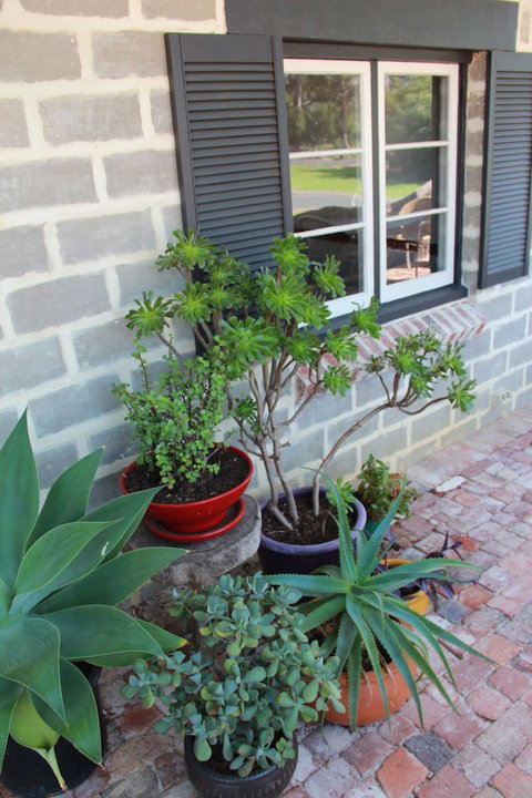 Bakehouse '38 Restaurant & Guesthouse - Lismore Accommodation 2