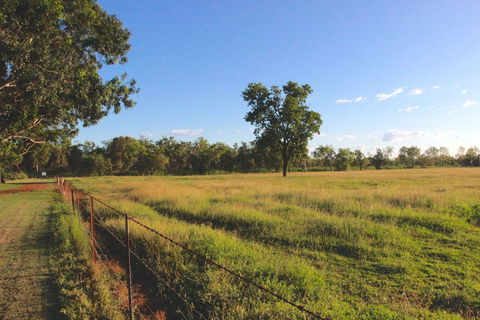 Banyan Tree Resort - Lismore Accommodation 1