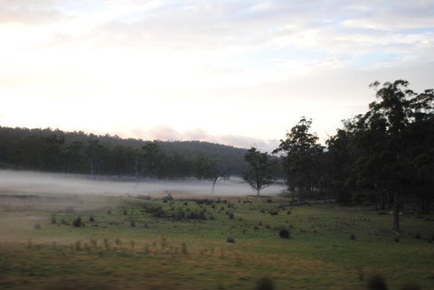 A Slice Of Paradise - Lismore Accommodation 3