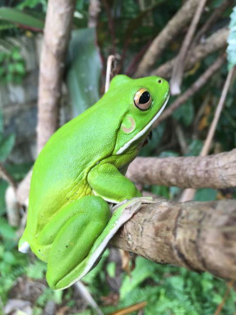 Bella By The Beach - Lismore Accommodation 6