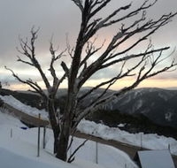 Snowflake 12 - Lismore Accommodation