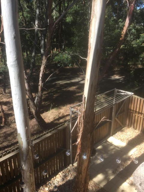 Tangles - Lismore Accommodation 6