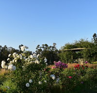 Labertouche Gypsy Creek Winery - Lismore Accommodation