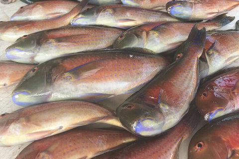 DRIFTWOOD - Lismore Accommodation 5