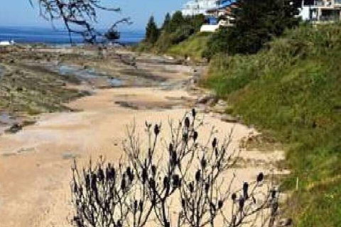 Surf Side Palms 12 - Lismore Accommodation 7