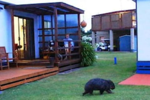 BIG4 Kelso Sands Holiday Park - Lismore Accommodation 0