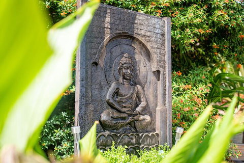 Austinmer - Cannonvale - Lismore Accommodation 1