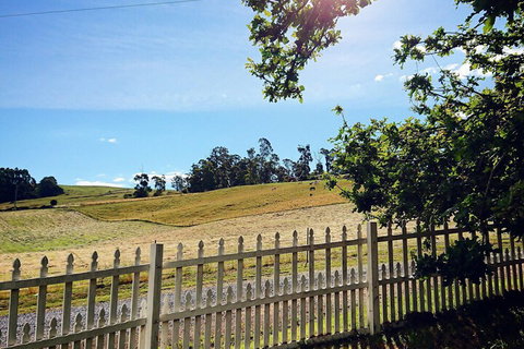 Old White Church Bed & Breakfast - Lismore Accommodation 5