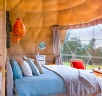 Domescapes in the Vines