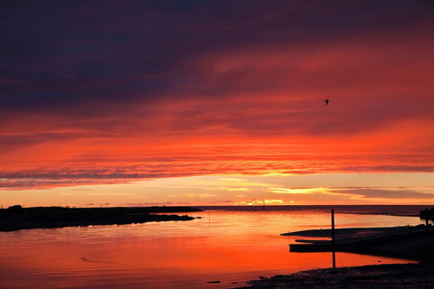 Burnie Airport Motel - Lismore Accommodation 0