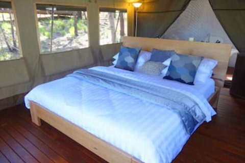 Murphy's Creek Hideaway - Lismore Accommodation 4