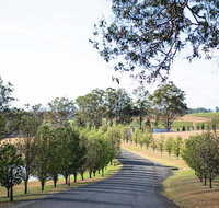 voco Kirkton Park Hunter Valley  an IHG Hotel - Lismore Accommodation