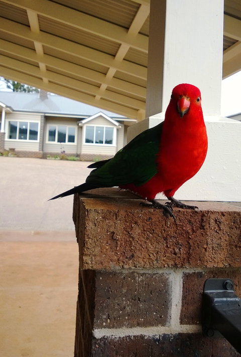 Marysville Garden Cottages - Lismore Accommodation 3