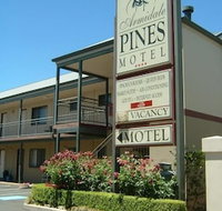 Armidale Pines Motel - Lismore Accommodation