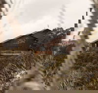 Duck Inn Mt Buller - Lismore Accommodation