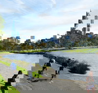 Amity Apartment Hotels - Lismore Accommodation