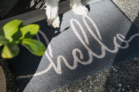 Noosa Heads Motel - Lismore Accommodation 2