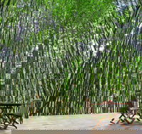 Azabu Boutique Accommodation Byron Bay - Lismore Accommodation