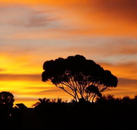 Lindsays of Kangaroo Island