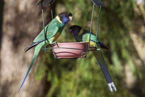 Kathys Place Bed And Breakfast - Lismore Accommodation 2