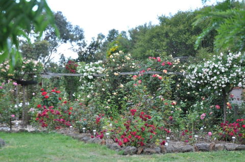 Fairy Wren Cottage Country To Coast Retreat - Lismore Accommodation 6