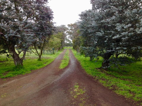 Fairy Wren Cottage Country To Coast Retreat - Lismore Accommodation 4