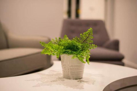 Astrina Garden View 2 Bedroom - Lismore Accommodation 6