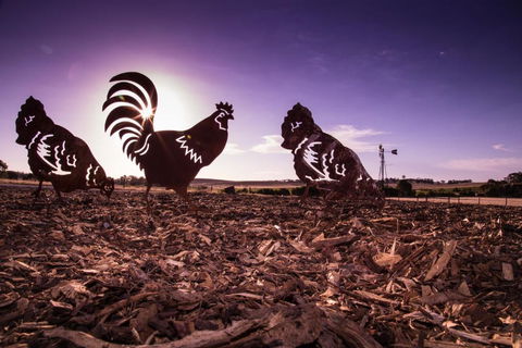 Bukirk Glamping & Tiny Houses - Lismore Accommodation 6