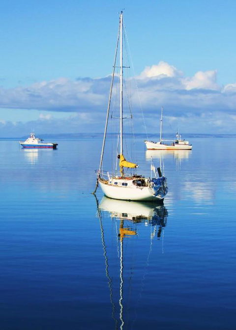 The Hakeas - Lismore Accommodation 1