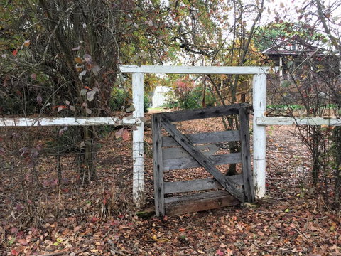 Historic Oak Hill House Estate Truffle Gourmet Festival Region - Lismore Accommodation 2