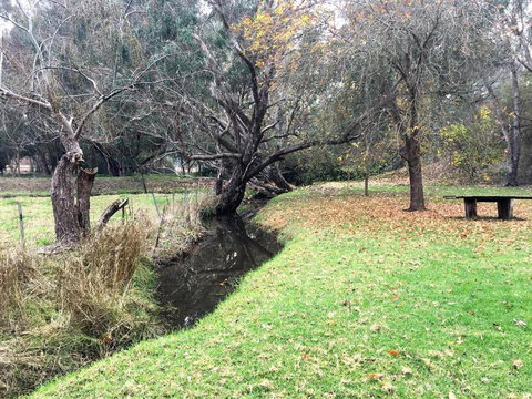 Historic Oak Hill House Estate Truffle Gourmet Festival Region - Lismore Accommodation 1