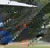 Blackwattle at Barrington Tops