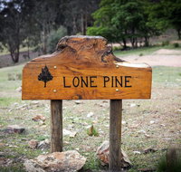 Lone Pine Farmhouse - Lismore Accommodation