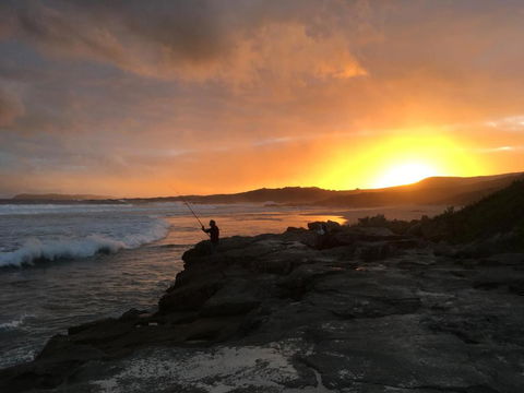 Blue House Denmark - Lismore Accommodation 4