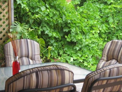 Amalie Cottage Waikerie Unit 1 - Lismore Accommodation 6