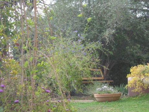 Amalie Cottage Waikerie Unit 1 - Lismore Accommodation 5