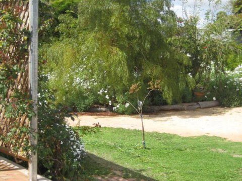 Amalie Cottage Waikerie Unit 1 - Lismore Accommodation 3