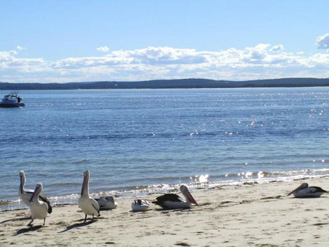 23 Bay Parklands 2 Gowrie Avenue Little Beach Air Con Pool & Tennis Court - Lismore Accommodation 2