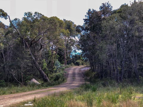 BAY Of FIRES ECO HUT Off Grid Experience At Binalong Bay - Lismore Accommodation 3