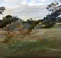 Young Budget Accommodation - Lismore Accommodation