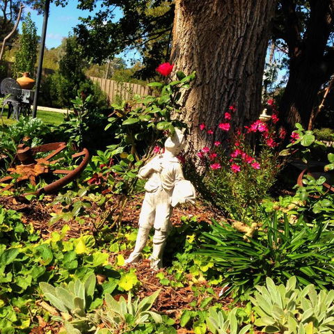 Bindley House B & B Cottage - Lismore Accommodation 3